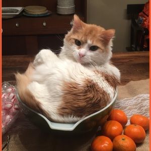 Meet your Posher, Tyler